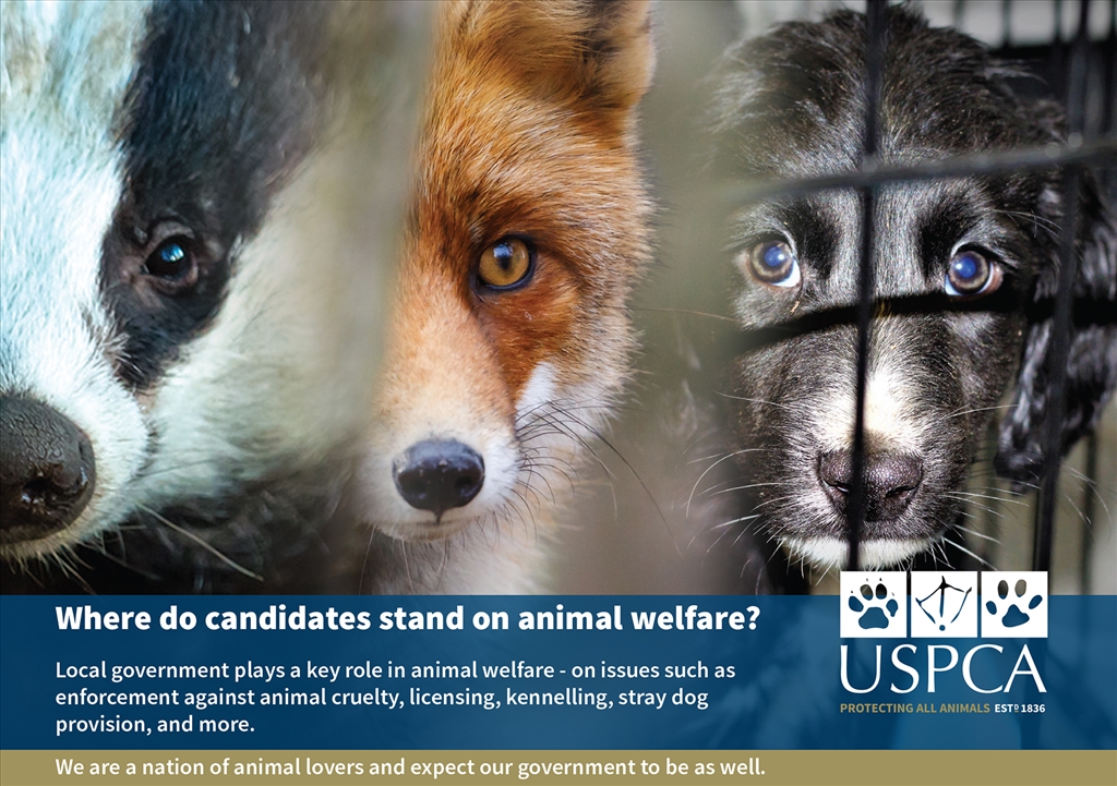Act for Animals - Local Elections