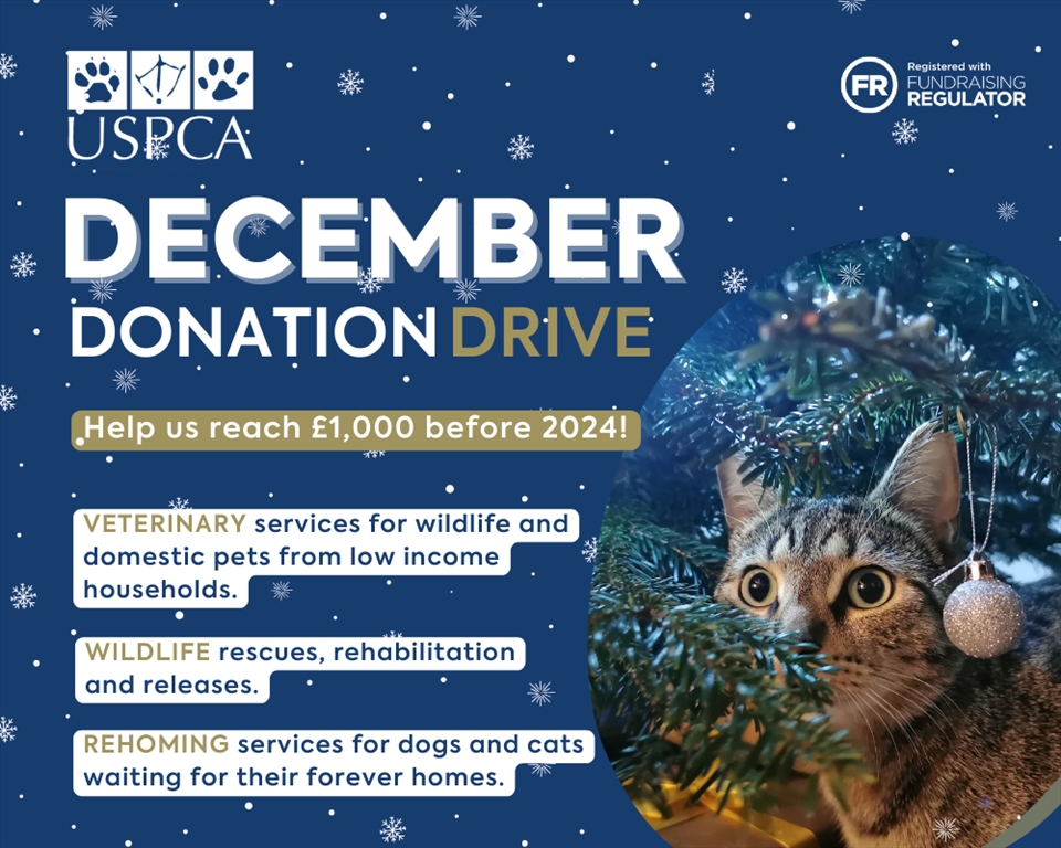 December Donation Challenge