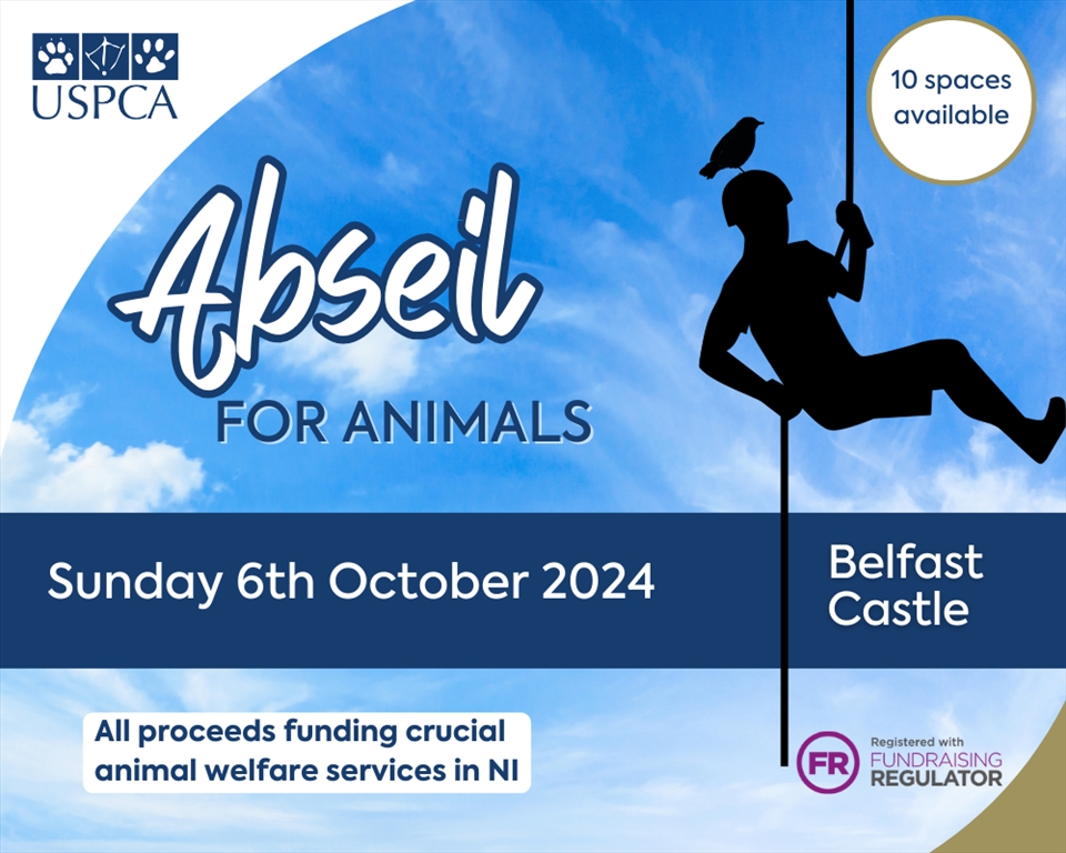 Abseil for Animals 