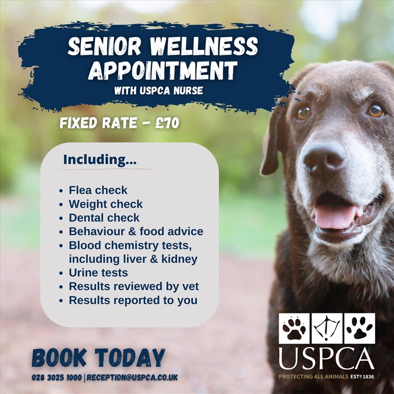 Senior Wellness Appointment