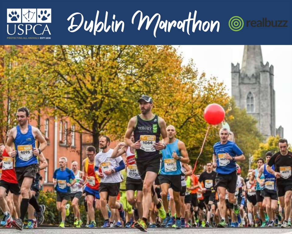 Run for the USPCA - Dublin 2024