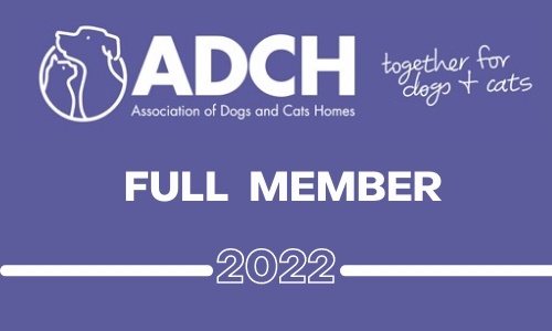 ADCH Logo