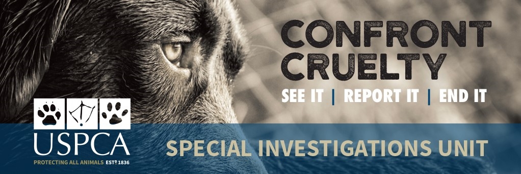 Cruelty Investigations | USPCA | Protecting All Animals