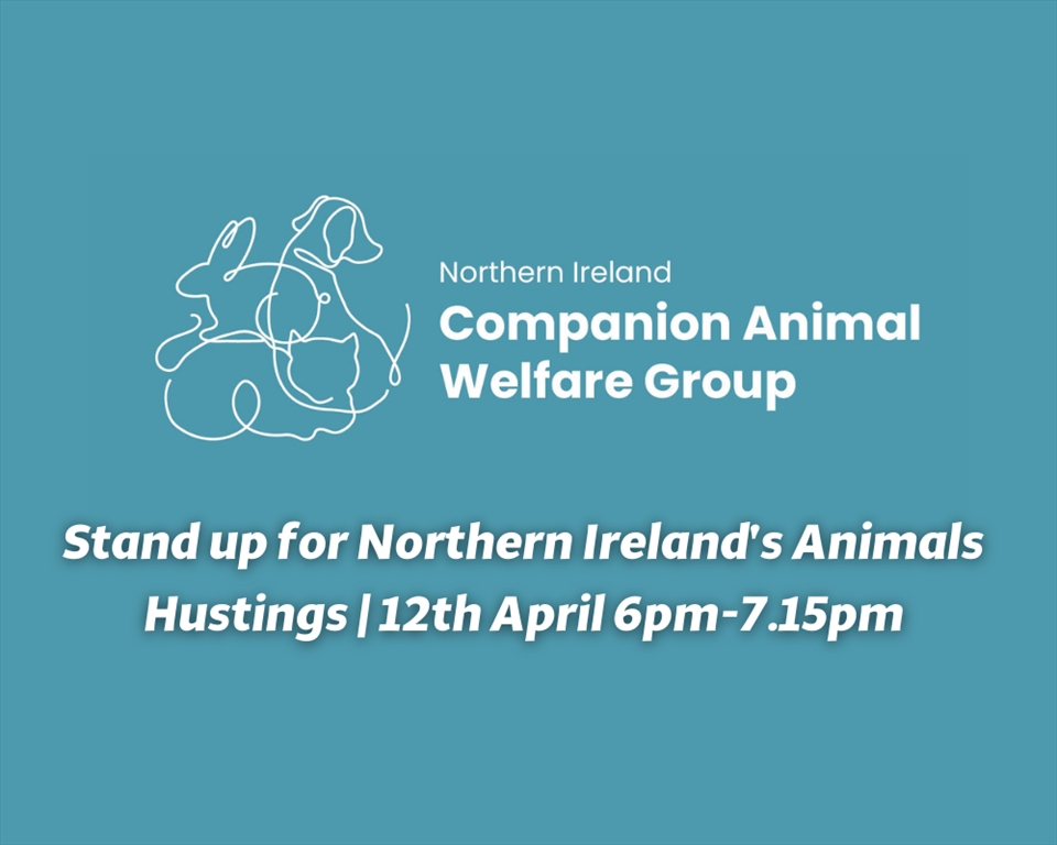 Stand Up for Northern Ireland’s Animals