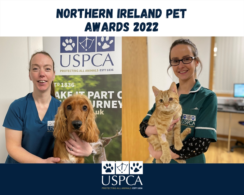 USPCA Team Members Nominated for 2022 NI Pet Awards