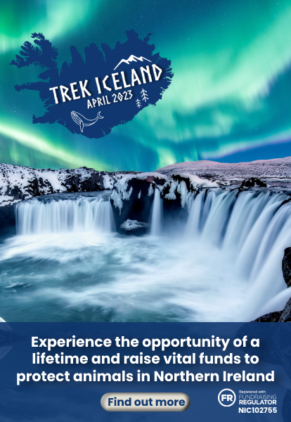 Trek Iceland