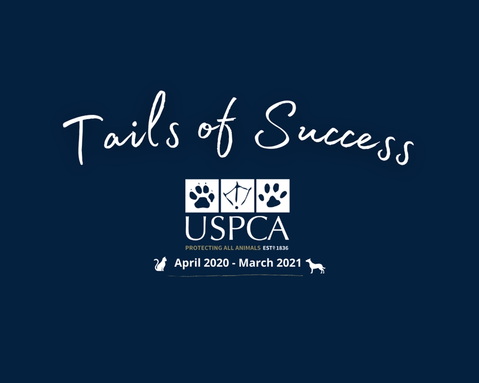 Tails of Success 2020-2021