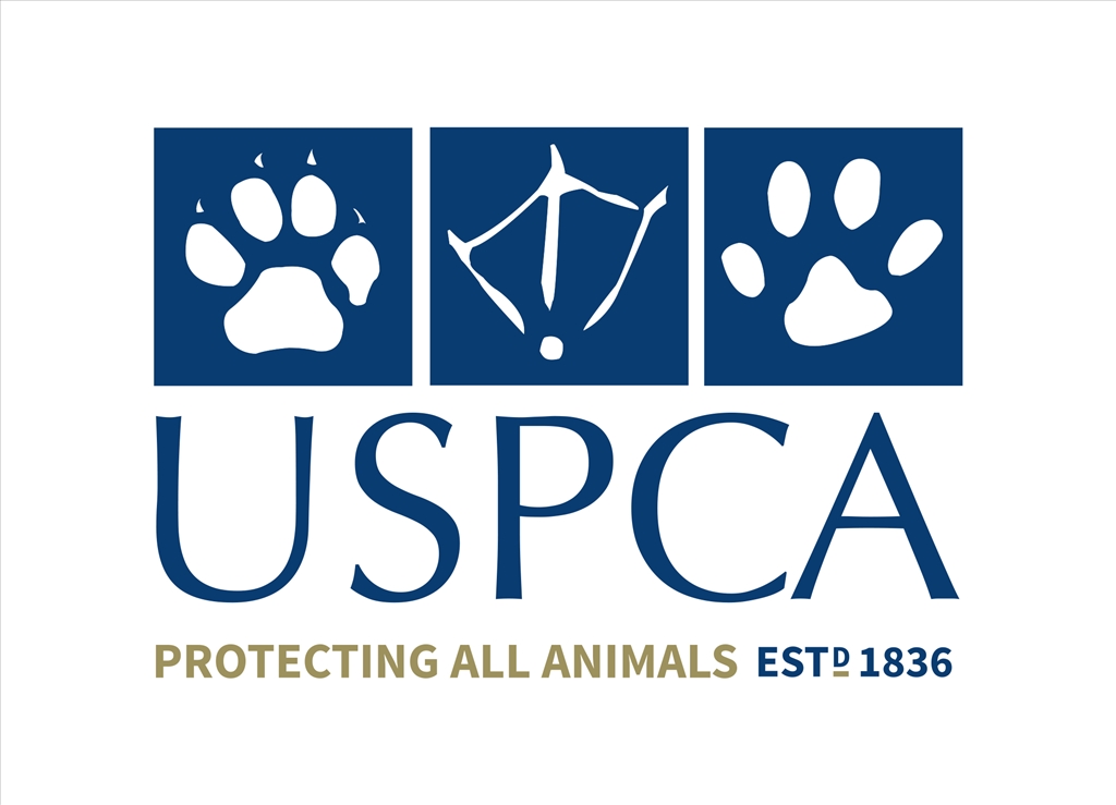 USPCA: frustration at lenient sentence of puppy farmer who neglected animal 