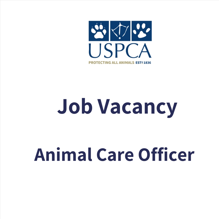 Animal Care Officer
