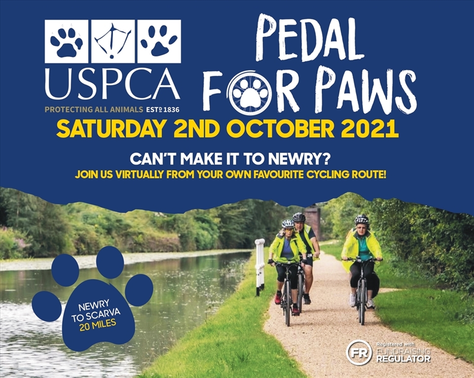 Pedal for Paws Makes its Return