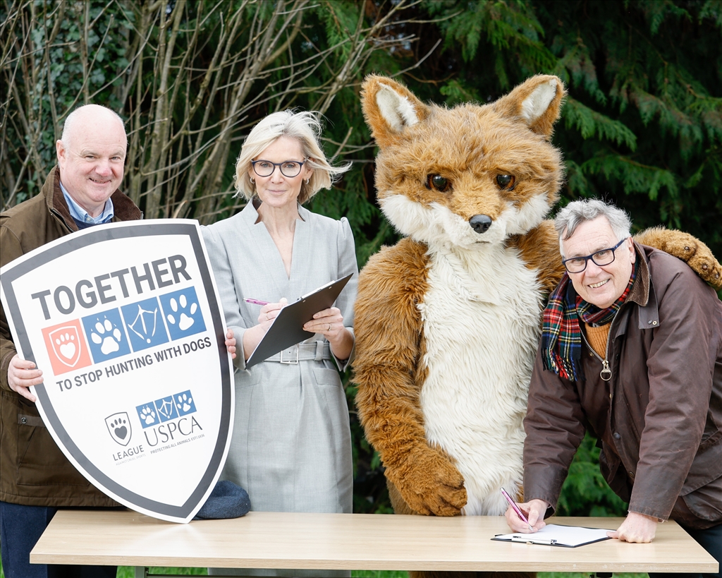 USPCA & League Against Cruel Sports Collaborate to End Hunting With Dogs in NI